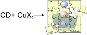 Structure characterization of the non-crystalline complexes of copper salts with native cyclodextrins