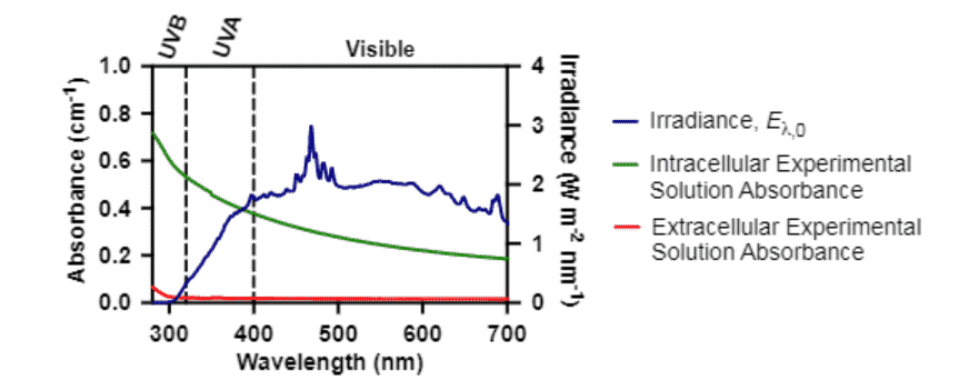 Sunlight Photolysis of Extracellular and Intracellular Antibiotic Resistance Genes tetA and sul2 in Photosensitizer-Free Water