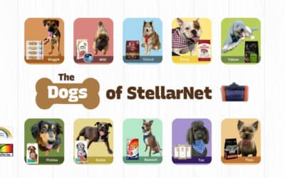 The Dogs of StellarNet and the ChemWiz-ADK™ NIR Feed and Pet Food Analyzers