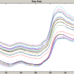 Timothy Hay Reflectance Spectra