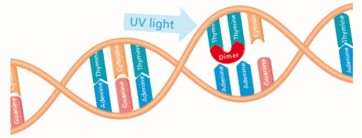 UV-light