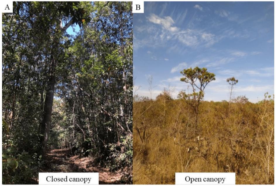 3rd Place Beyond Vision The nearinfrared reflectance of butterfly
