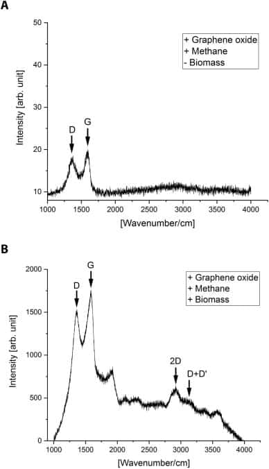 Current production by non-methanotrophic bacteria enriched from an anaerobic methane-oxidizing microbial community