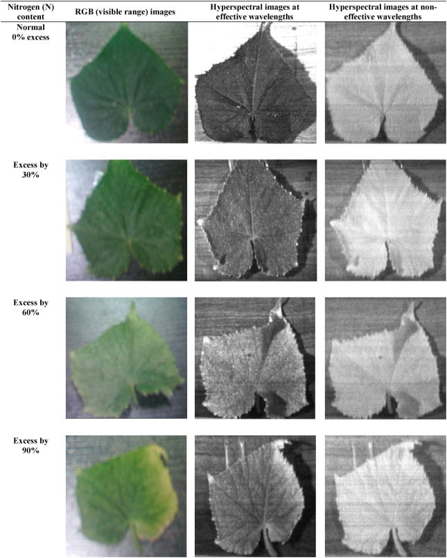 Estimation of nitrogen content in cucumber plant (Cucumis sativus L.) leaves using hyperspectral imaging data with neural network and partial least squares regressions