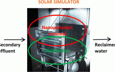 Photocatalytic Disinfection and Removal of Emerging Pollutants from Effluents of Biological Wastewater Treatments, Using a Newly Developed Large-Scale Solar Simulator