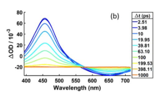 Intramolecular Photoinduced Charge Transfer and Recombination Dynamics in Vinylarene Terminated Organosilanes