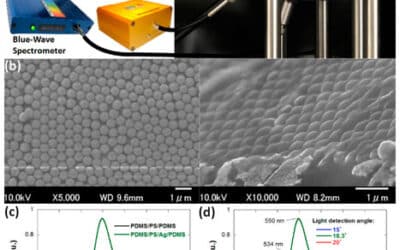 Strongly Iridescent Hybrid Photonic Sensors Based on Self-Assembled Nanoparticles for Hazardous Solvent Detection