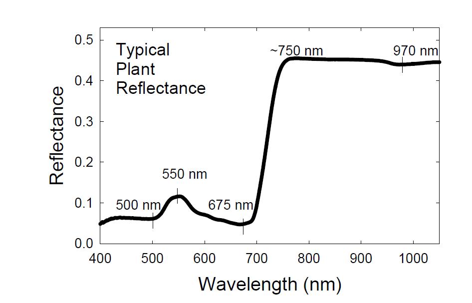 typical plant reflectance in visible and NIR range with